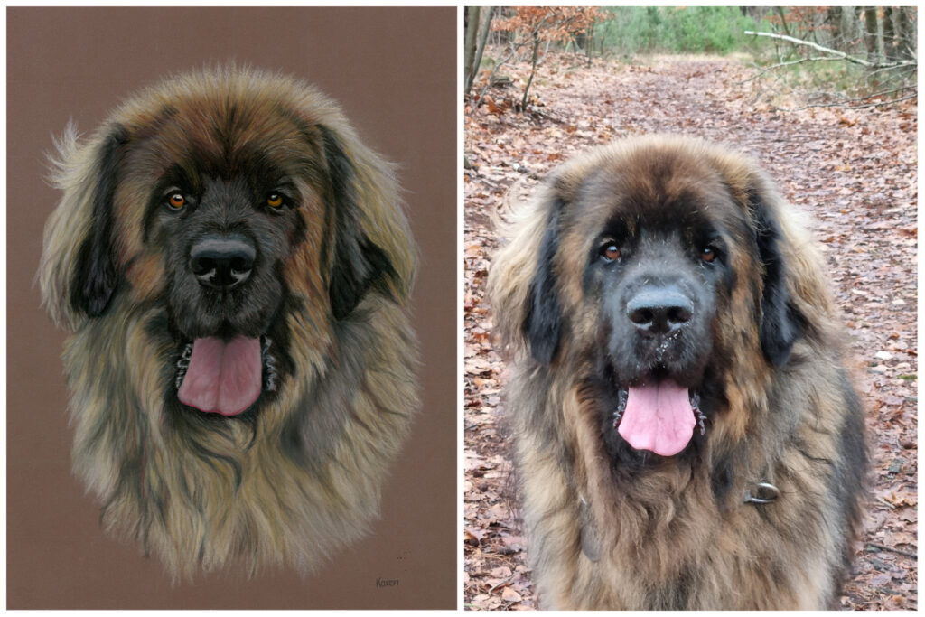 Handgemaakt portret van een hond met daarnaast de originele foto. 