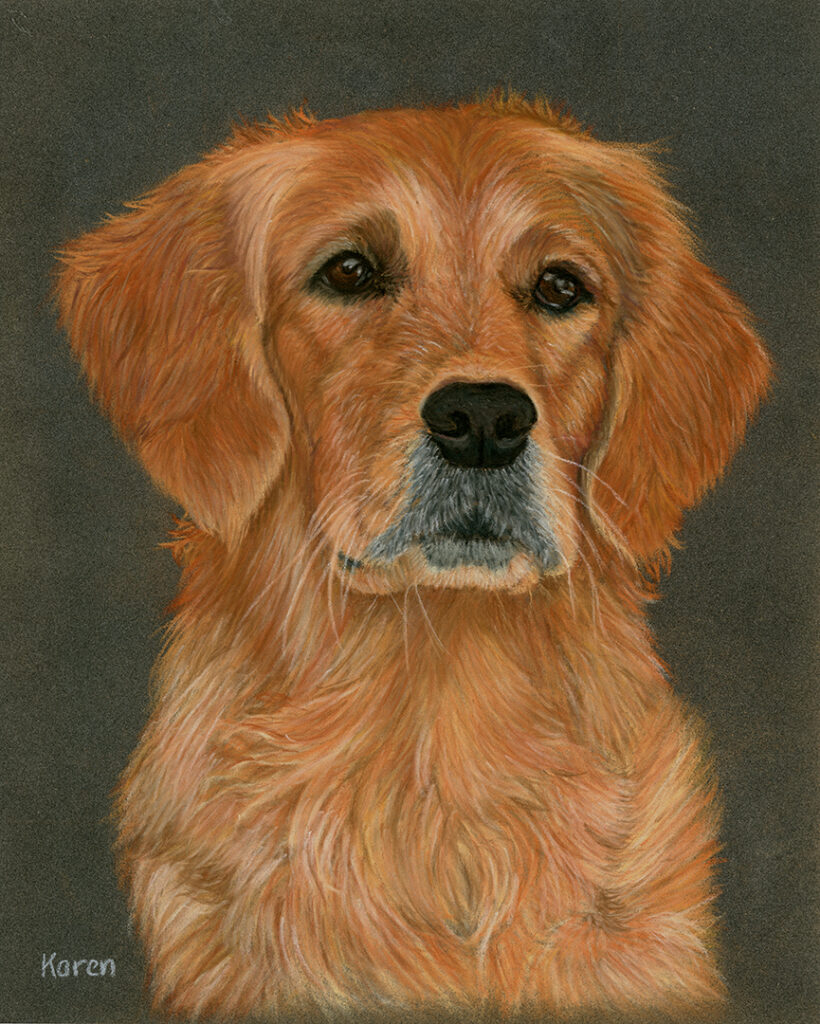 Pastel tekening hond - Rode Golden Retriever